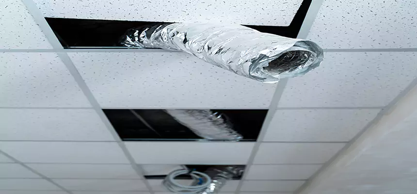 Affordable HVAC Sanitizing After Pest Removal in Manchester