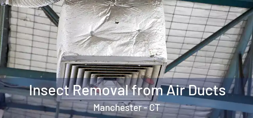 Insect Removal from Air Ducts Manchester - CT