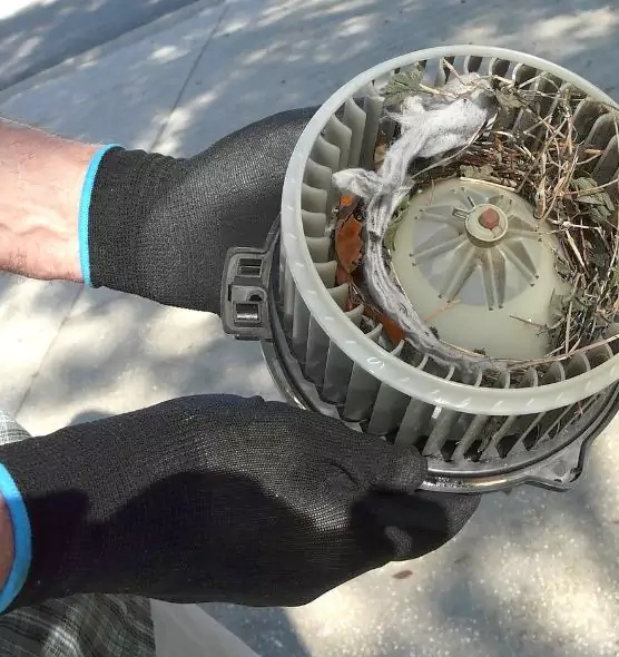 About Air Duct Mice Removal in Manchester, CT