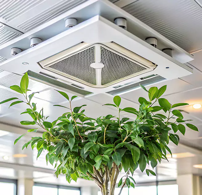 Why Homeowners & Businesses Trust Us in Manchester, CT